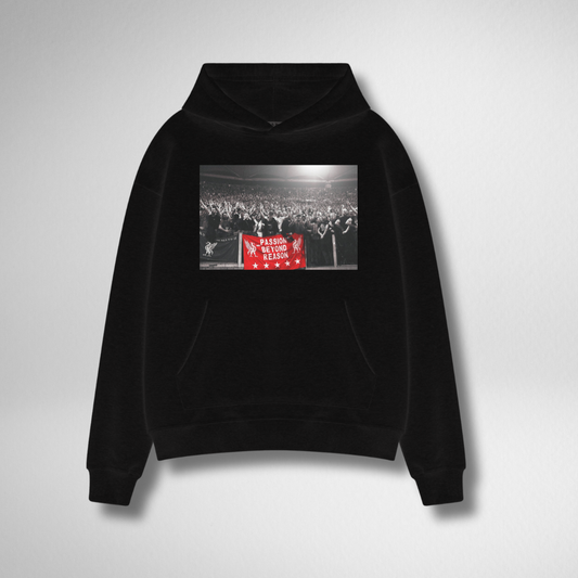 PASSION BEYOND REASON HOODIE