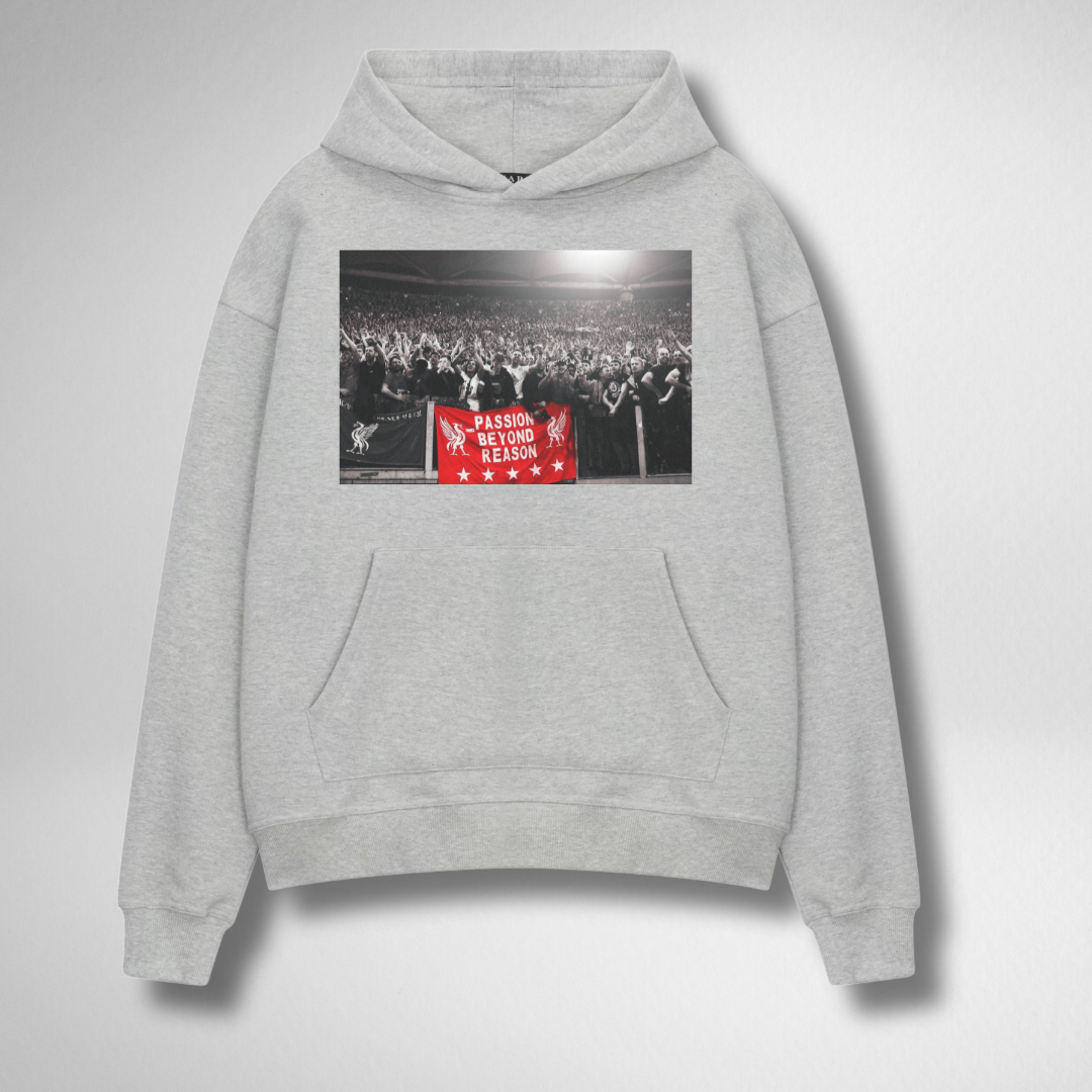PASSION BEYOND REASON HOODIE