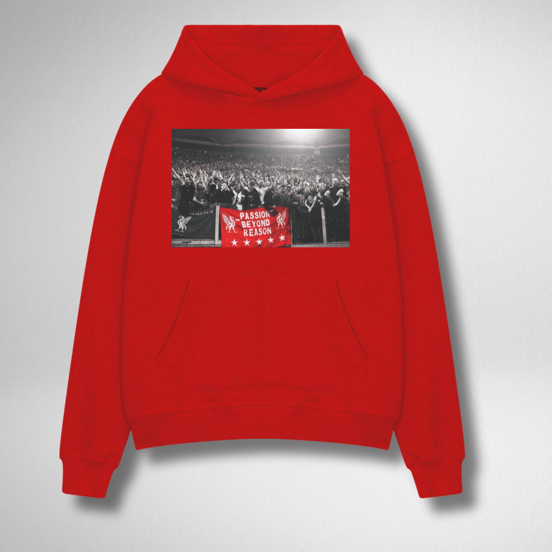 PASSION BEYOND REASON HOODIE
