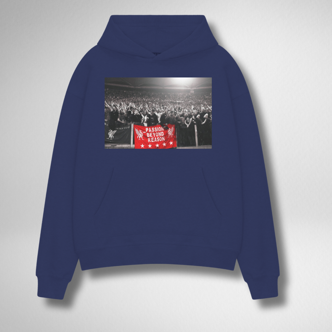 PASSION BEYOND REASON HOODIE